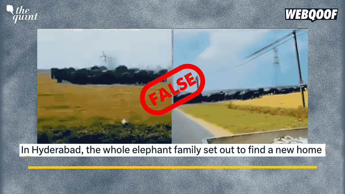 <div class="paragraphs"><p>Fact-Check: This video is from Sri Lanka when a herd of elephants entered a village. </p></div>