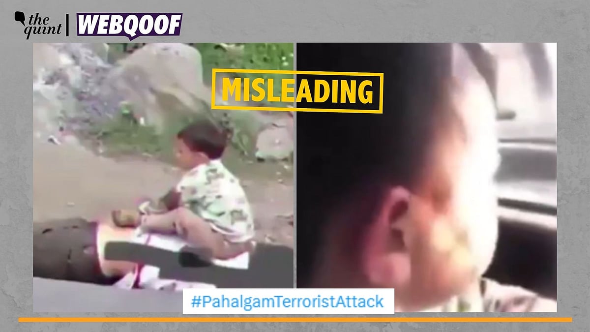 <div class="paragraphs"><p>Fact-Check | The video is old and is being incorrectly linked to the recent Pahalgam attack.</p></div>
