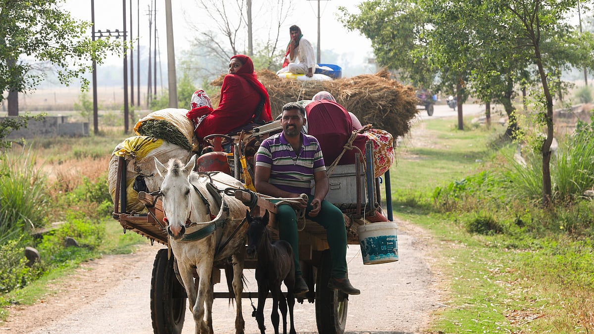 <div class="paragraphs"><p>People carry their belongings as they move to a safer place as part of evacuation near the International Border (IB) at Jeora Farm, amid shelling from Pakistan after the Indian Army's Operation Sindoor, in Jammu district, Wednesday, 7 May, 2025.</p></div>