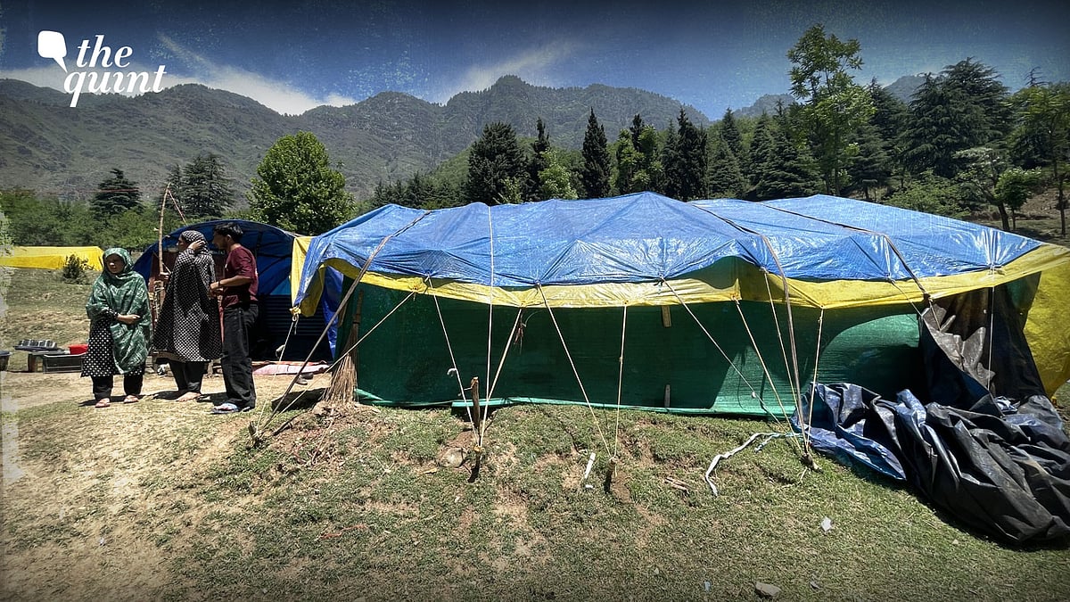 <div class="paragraphs"><p>Mohammad's camping site at the foothills of Srinagar’s Zabarwan mountains.</p></div>