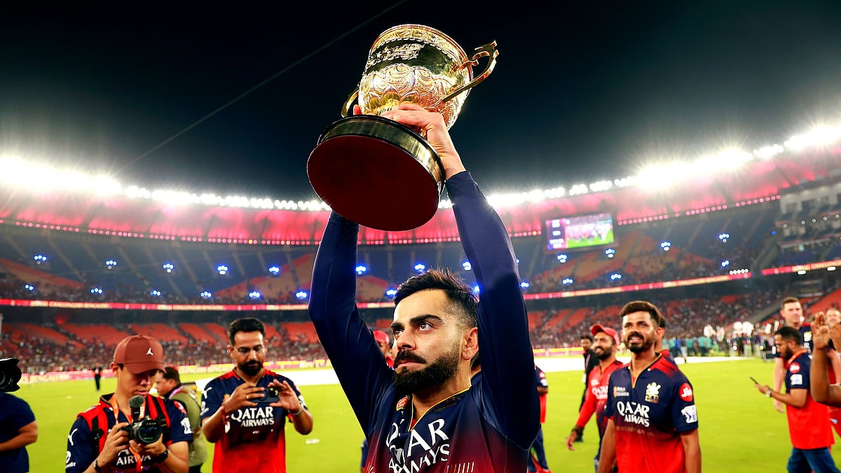 <div class="paragraphs"><p>RCB have won IPL 2025.</p></div>