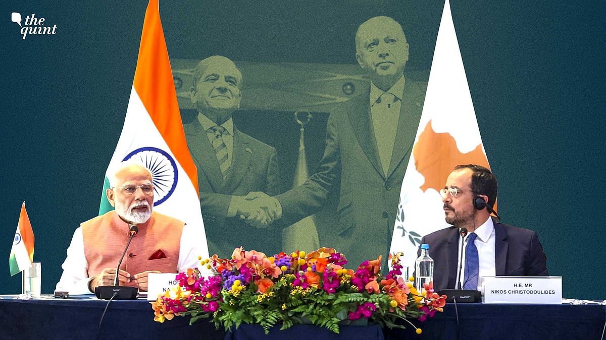 <div class="paragraphs"><p>PM Narendra Modi in Cypress.</p></div>