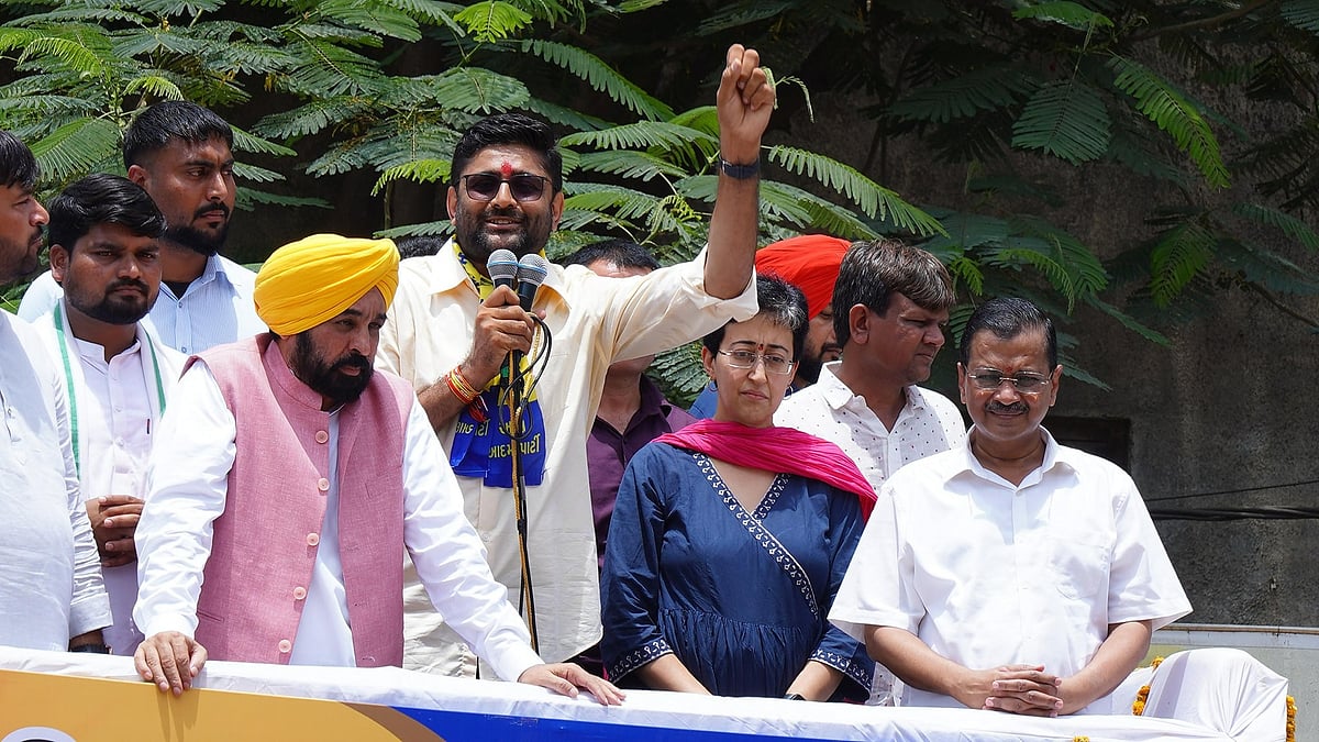 <div class="paragraphs"><p>AAP's Gopal Italia has won from Visavadar in Gujarat. </p></div>