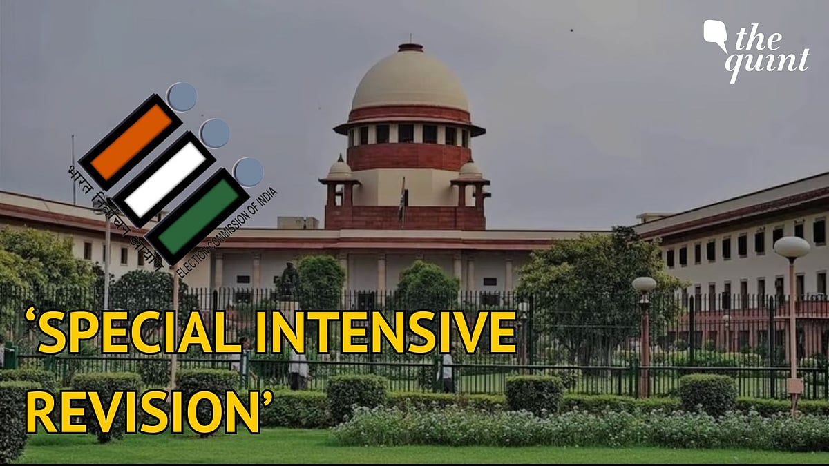 <div class="paragraphs"><p>Yogendra Yadav, ADR challenge Bihar voter roll revision in Supreme Court.</p></div>