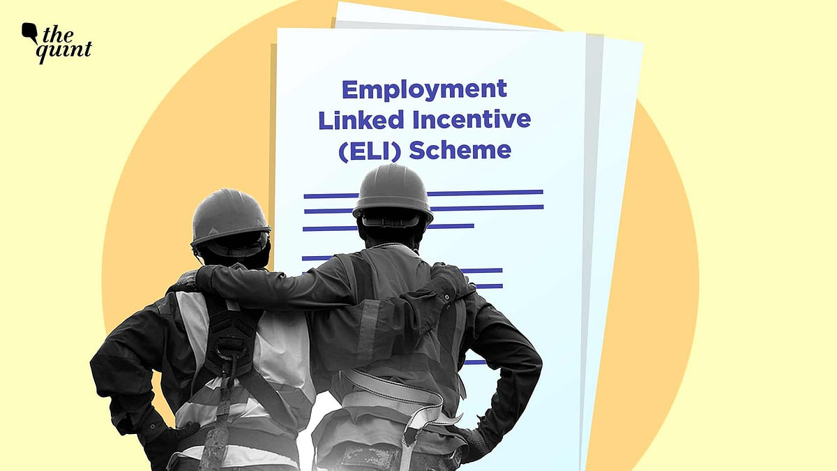 <div class="paragraphs"><p>Will they be quality jobs, or will the scheme merely inflate the Employee Provident Fund Organisation registration figures?</p></div>