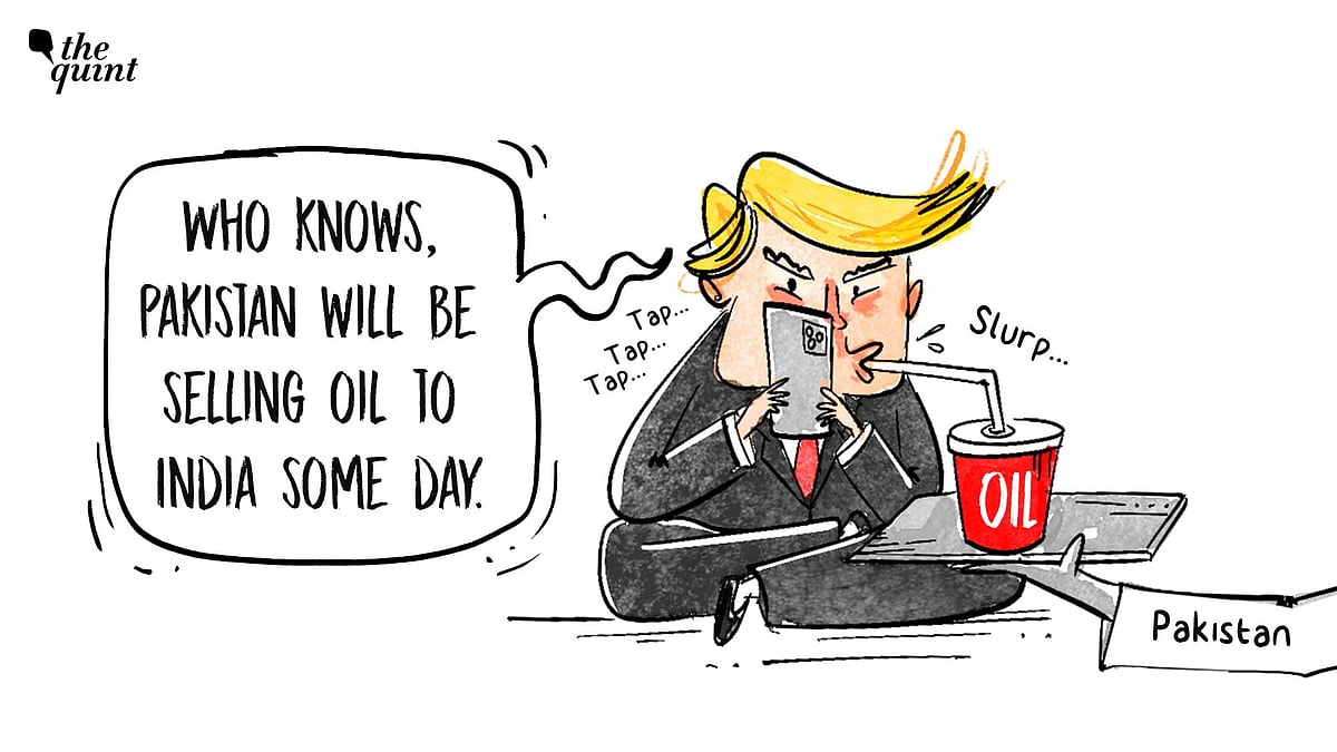 <div class="paragraphs"><p>Trump announced a new trade deal with Pakistan to jointly develop its “massive oil reserves.” He even mused, “Who knows, maybe they’ll be selling oil to India some day!”.</p></div>