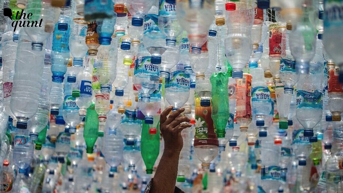 <div class="paragraphs"><p>The UN The Global Plastics Treaty Process Has Fallen Flat. Here’s What Went Wrong</p></div>