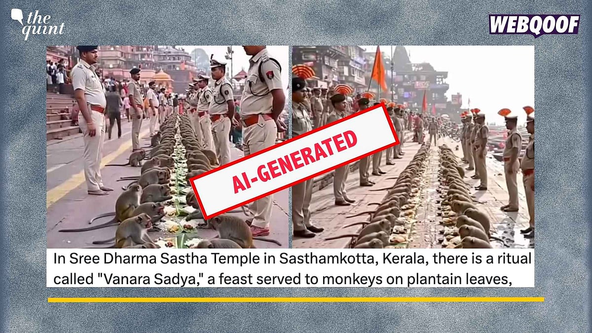 <div class="paragraphs"><p>Fact-Check: This video is created using AI and is not real as claimed. </p></div>
