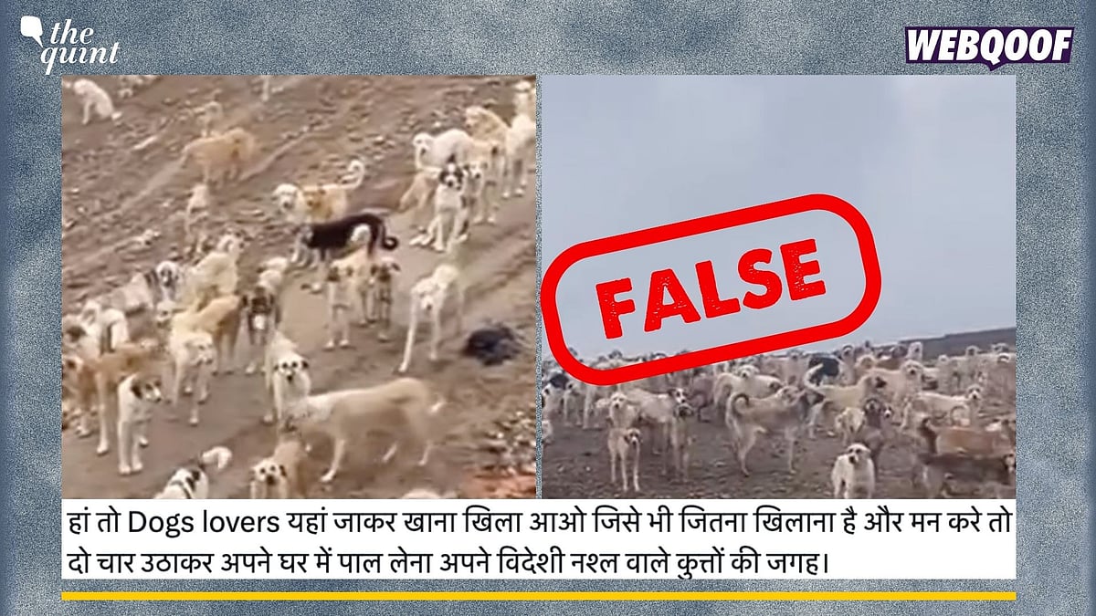 <div class="paragraphs"><p>Fact-Check The video being shared online is from Iraq not Delhi-NCR.</p></div>
