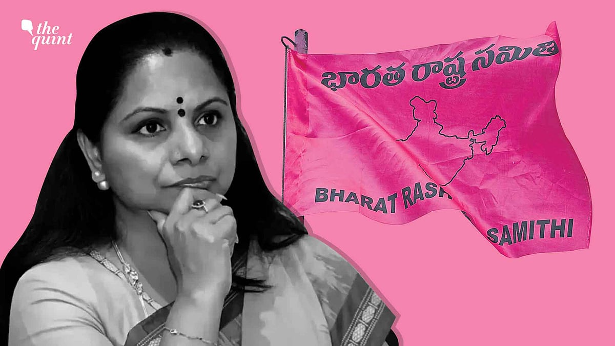 <div class="paragraphs"><p>K Kavitha’s political crusade turned into a family dispute rather than a political, ideological struggle based on a public cause.</p></div>