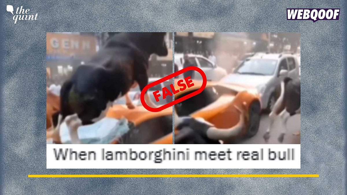 <div class="paragraphs"><p>Fact-Check: This clip has been created using AI and is not real.&nbsp;</p></div>