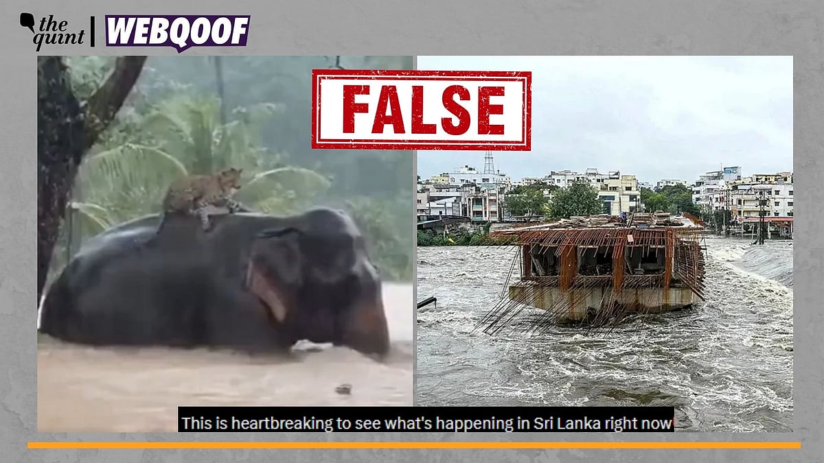 <div class="paragraphs"><p>Fact-Check | While the video is AI-generated, the image is actually from Hyderabad and not Sri Lanka.</p></div>