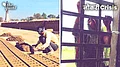 more-news-img