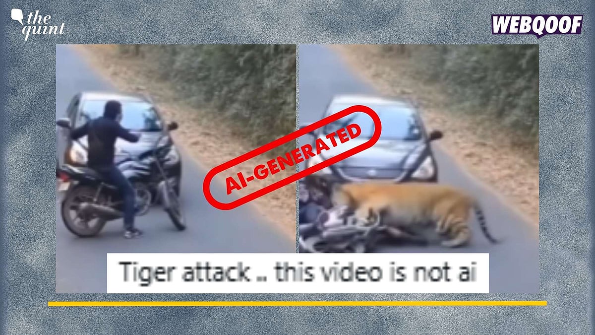 story-hero-img