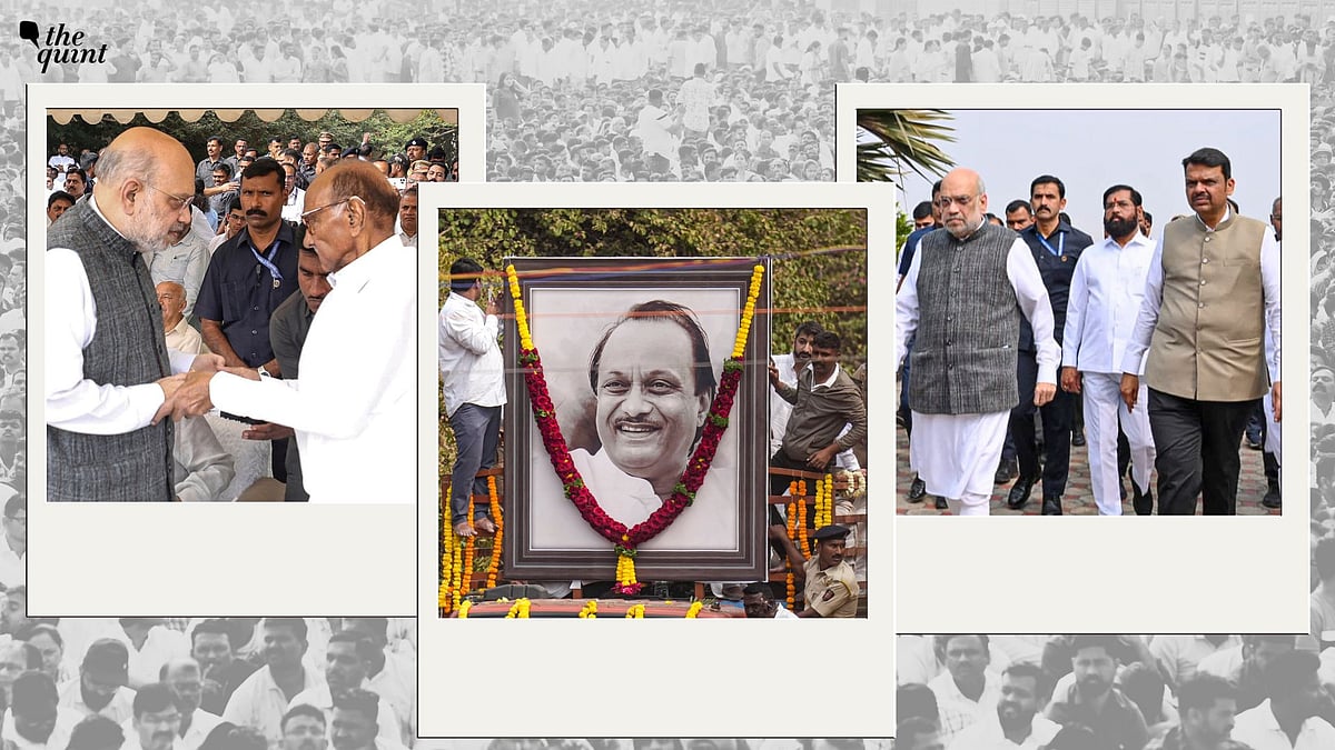 <div class="paragraphs"><p>Will Two NCPs Reunite? Will BJP Absolve NCP? Maharashtra Politics Ain't That Simple</p></div>