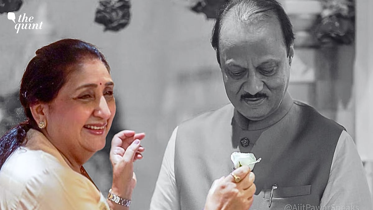 <div class="paragraphs"><p>Sunetra Pawar: The Reluctant Politician May Now be Dy CM But Is She the Supreme Leader of the NCP?</p></div>
