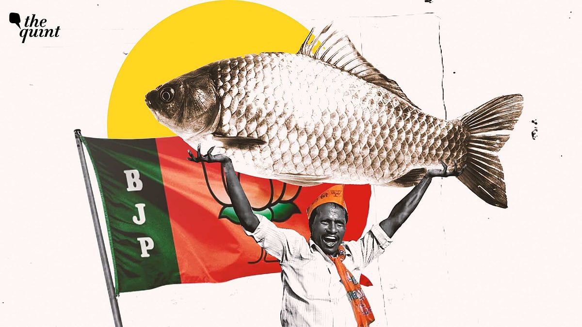 <div class="paragraphs"><p>Fish and rice remain central to Bengali identity—“<em>machhe-bhaate Bangali</em>”—intertwined with daily life, festivals, economy, and the livelihood of fishers and vendors.</p></div>