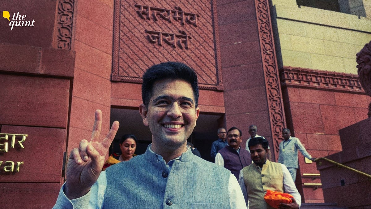 <div class="paragraphs"><p>Rajya Sabha Chair Accepts Raghav Chadha And AAP Rebels’ Merger With BJP</p></div>