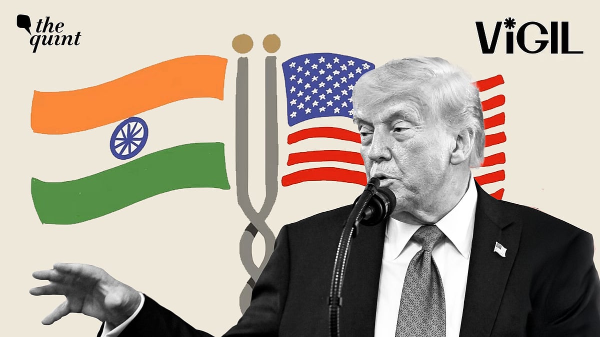 <div class="paragraphs"><p>Diaspora Indians, especially those with U.S. citizenship, would do well to stand up for their fellow immigrants, writes Meghnad Bose.</p></div>
