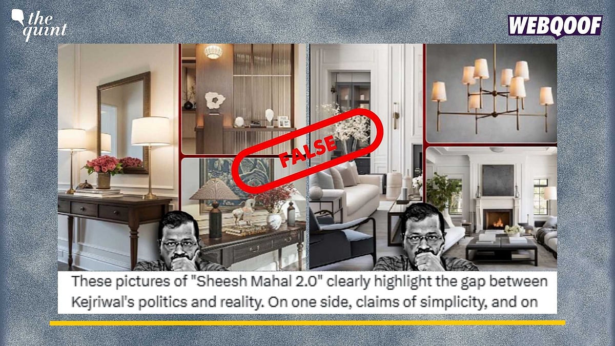 <div class="paragraphs"><p>Fact-Check: Team WebQoof found that most of the images were taken from Pinterest or a social media page. </p></div>