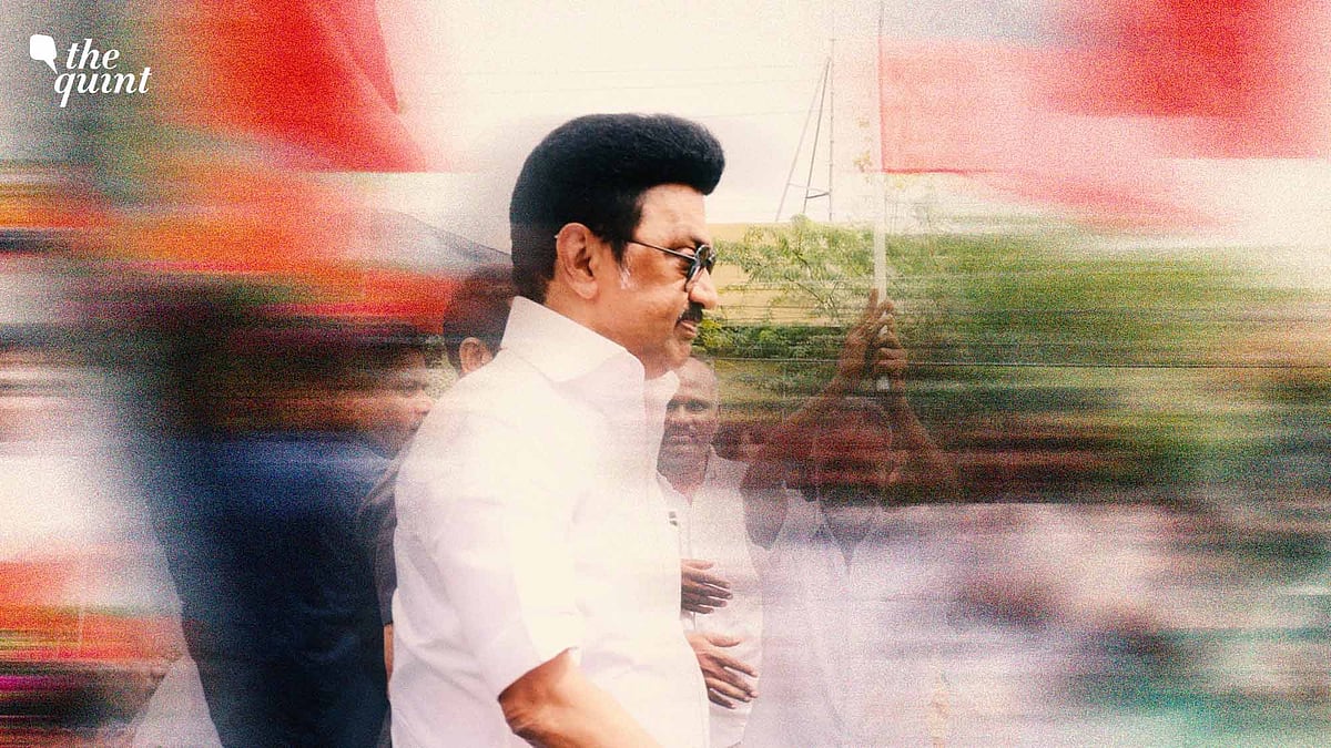 <div class="paragraphs"><p><a href="https://www.thequint.com/topic/mk-stalin">MK Stalin</a>, and his party DMK, are no longer at the centre of Tamil Nadu politics.</p></div>
