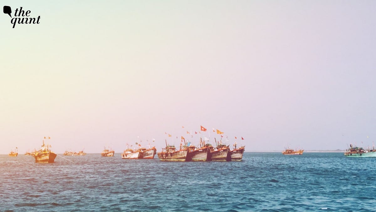 <div class="paragraphs"><p>Unlike atmospheric heatwaves, marine heatwaves are often invisible to the public. </p></div>