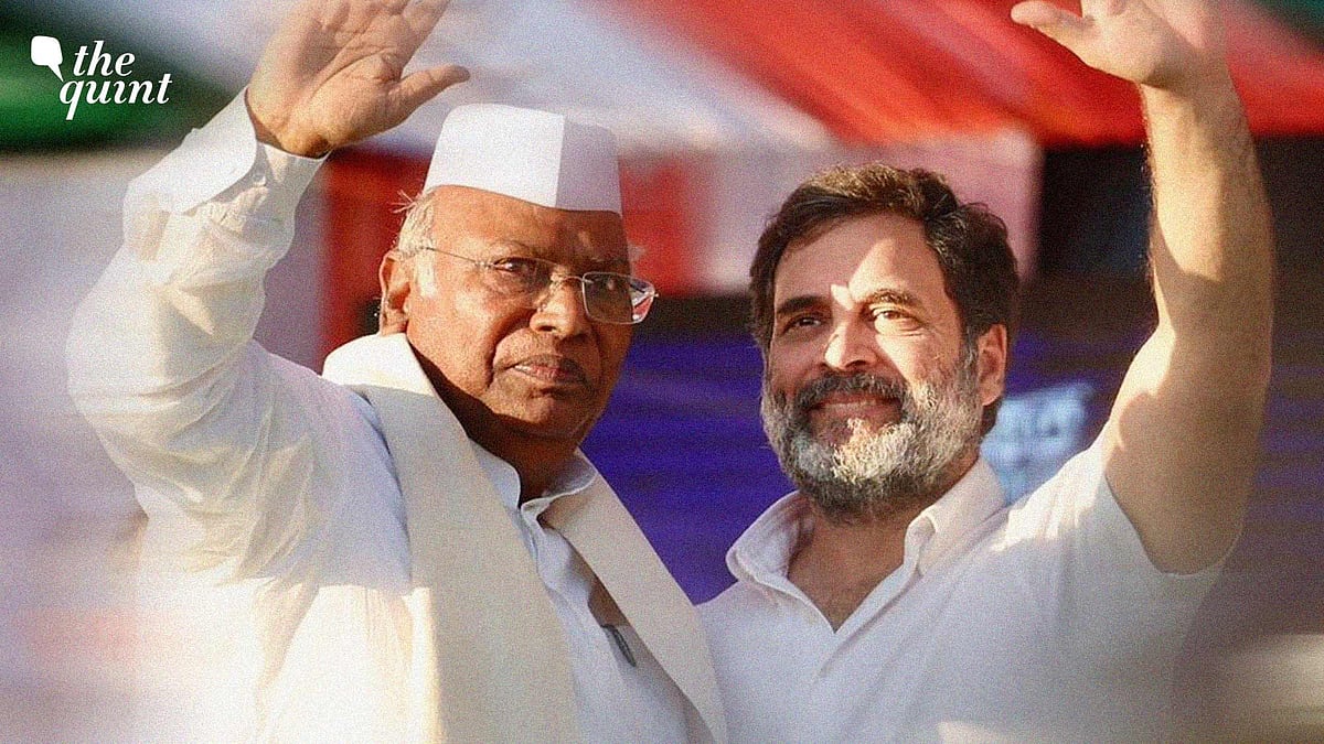 <div class="paragraphs"><p>(Rahul Gandhi and Mallikarjun Kharge have shaken up the South)</p></div>