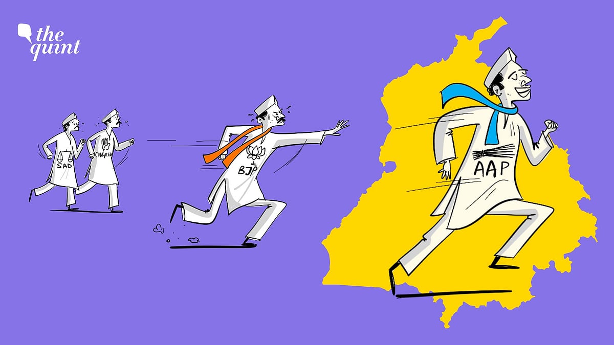 <div class="paragraphs"><p>The AAP emerged as the clear winner in Punjab's municipal elections, but the elections also revealed the less-discussed trends of the BJP gradually establishing an independent foothold in Punjab’s urban politics and of the continuing decline of traditional political forces like the Congress and the Akali Dal.</p></div>