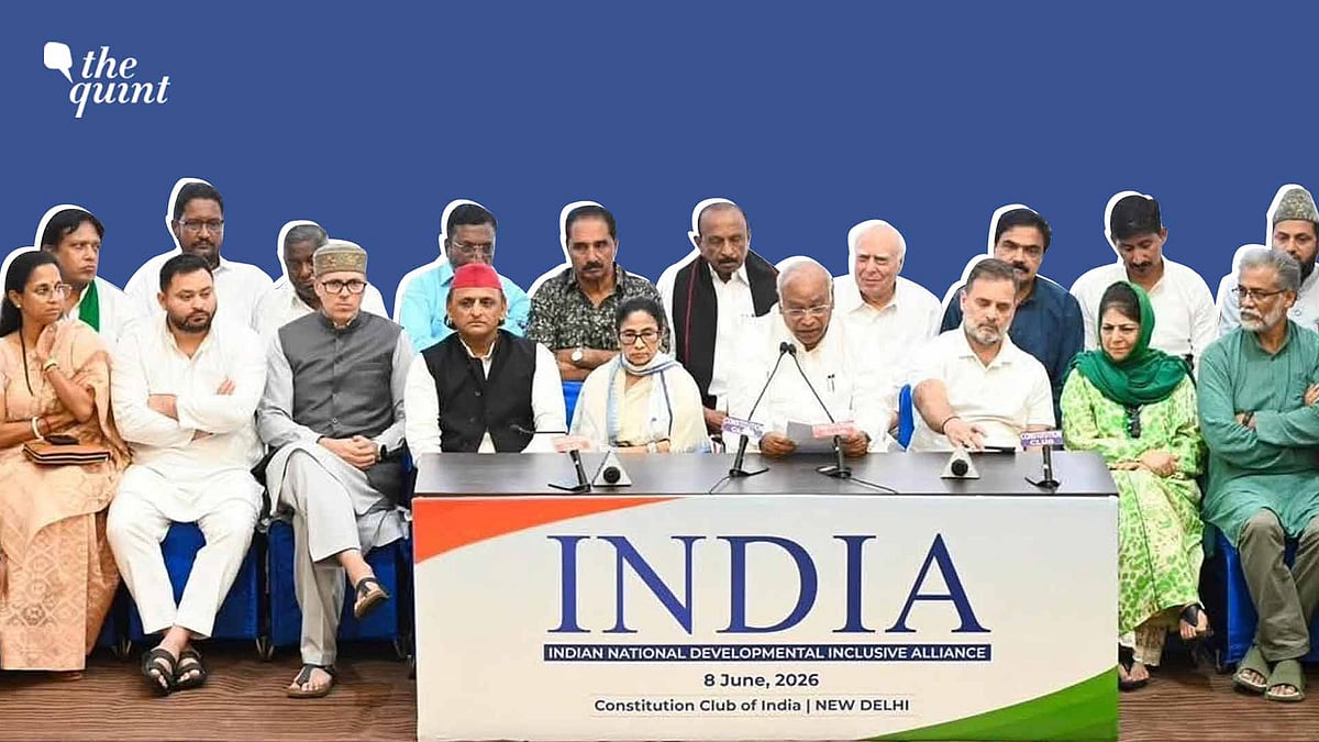 <div class="paragraphs"><p>The INDIA bloc was born from fear that the Opposition would soon disappear, unless it united to fight back for its very existence.</p></div>