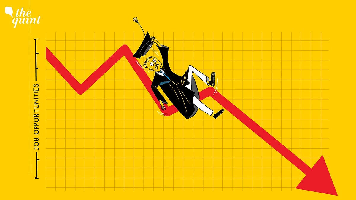 <div class="paragraphs"><p>As campus placements slow across India, graduates are confronting a widening gap between qualifications and opportunities.</p></div>