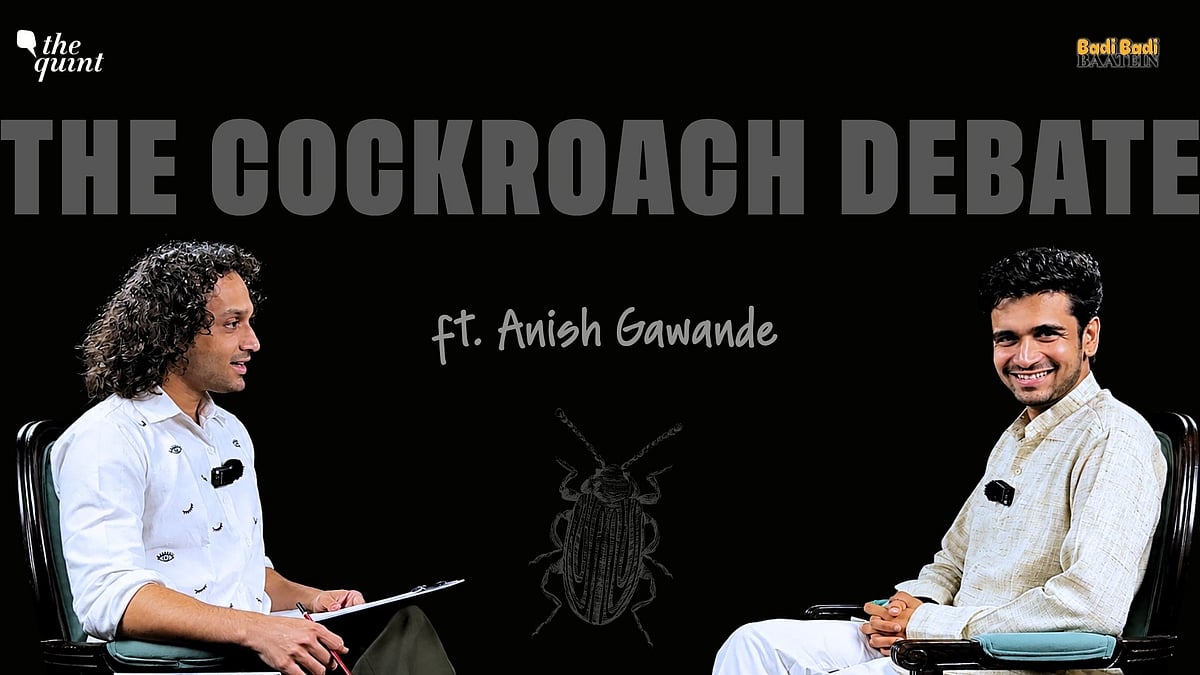 <div class="paragraphs"><p>'Kisike Baap Ka Hindustan Nahi Hai': A Debate on Cockroaches With a Yuva Neta</p></div>