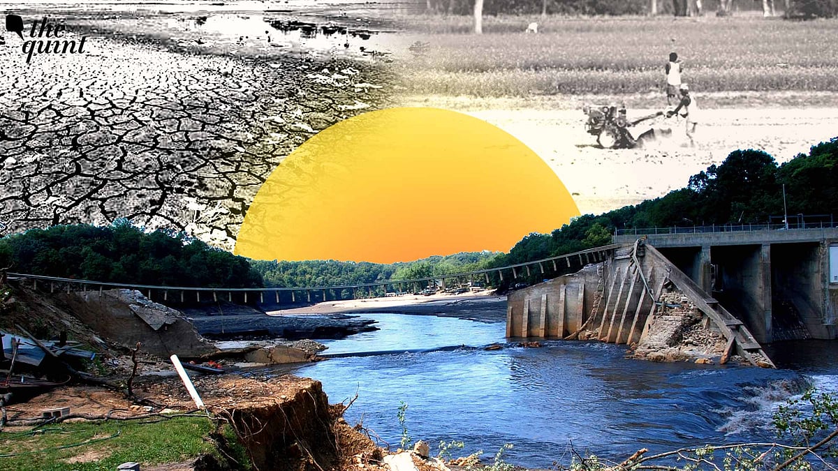 <div class="paragraphs"><p>Indian cities once cooled by lakes now bake under concrete. But cities like Hyderabad, Bengaluru, Chennai and Delhi lost their natural air conditioning to urban development creating urban heat islands. What it will take to restore these wetlands?</p></div>