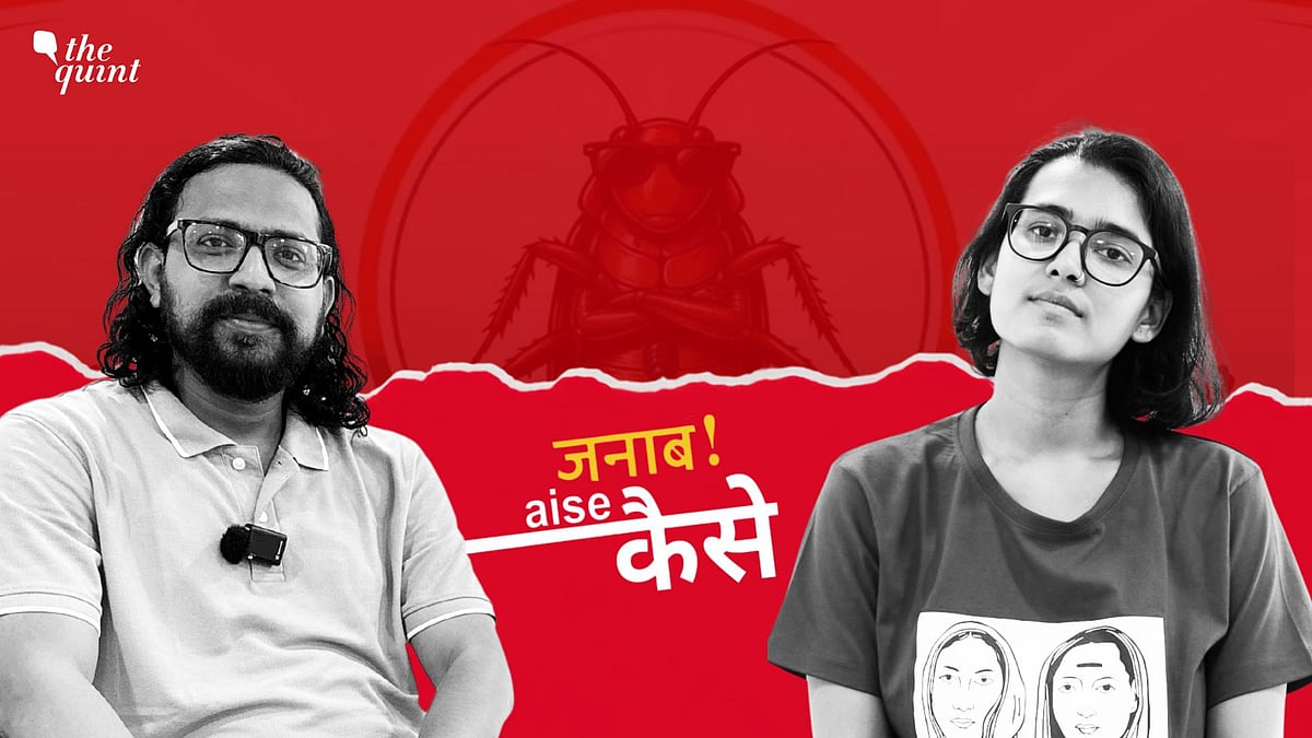 <div class="paragraphs"><p><strong>नीट (NEET) पेपर लीक  के खिलाफ जंतर-मंतर पर 23 दिनों तक चले  आंदोलन और भूख हड़ताल के बाद  AISA की राष्ट्रीय अध्यक्ष नेहा बोरा ने 'द क्विंट' से खास बातचीत की.</strong></p></div>