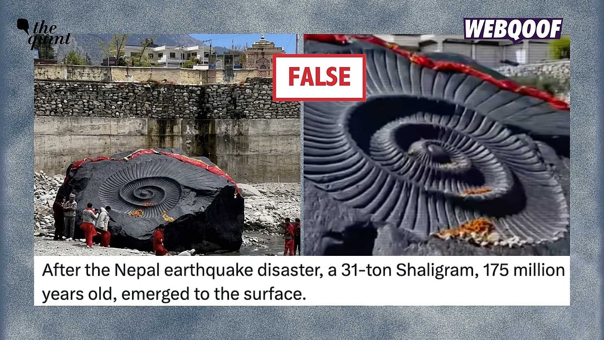 <div class="paragraphs"><p>A video of a sculpture is being shared to falsely claim that it shows visuals of a recently discovered, ancient shaligram rock in Nepal.</p></div>