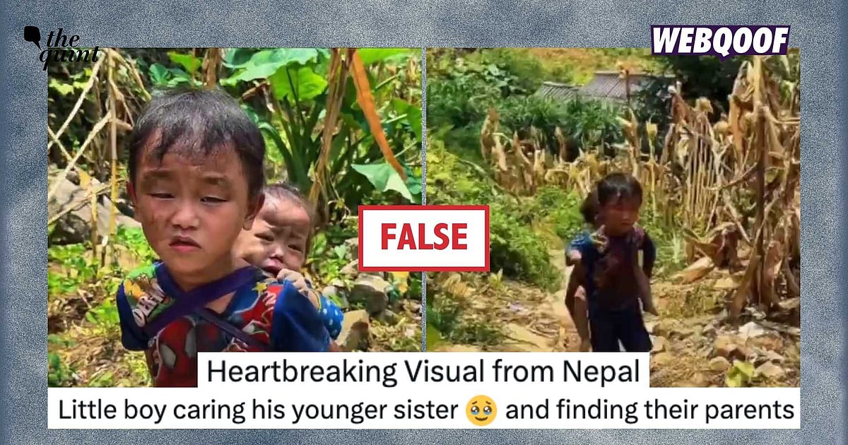 No, This Video Doesn't Show Toddler Siblings Together Amid Nepal Floods