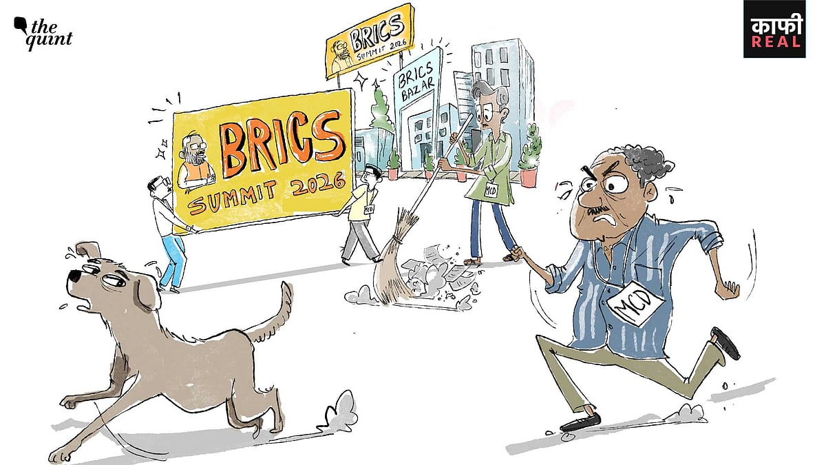 <div class="paragraphs"><p>The MCD has stepped up beautification and stray-animal control ahead of BRICS summit while unsafe buildings across Delhi continue to cause tragedies.</p></div>