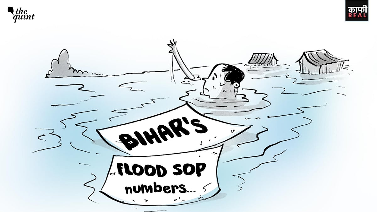 <div class="paragraphs"><p>The SOPs meant to guide Bihar’s flood response look starkly different from the reality on the ground.</p></div>
