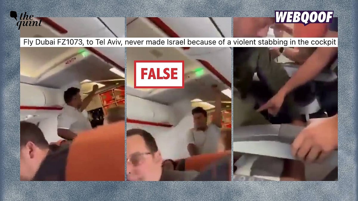 <div class="paragraphs"><p>An old, unrelated video of a man raising objectionable slogans on a plane is being widely shared on social media, where users are falsely linking it to the recent attack on a Tel Aviv-bound Flydubai plane.</p></div>