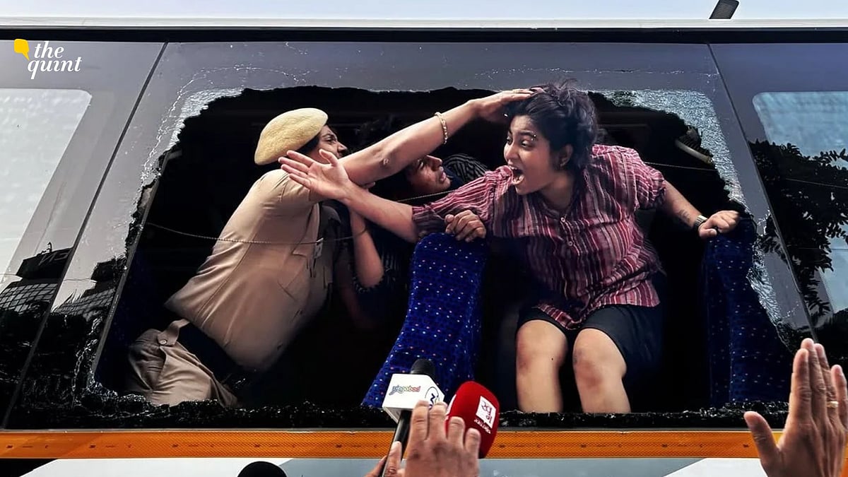 <div class="paragraphs"><p>'Lifted My Shirt': An Independent Woman Journalist's Horrors At Delhi Protests</p></div>