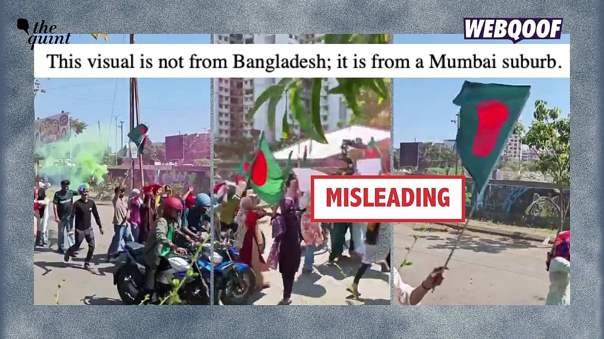 <div class="paragraphs"><p>A video showing a web series being filmed has gone viral on social media with the misleading claim that it shows Bangladeshi nationals raising their flag during protests in Mumbai.</p></div>