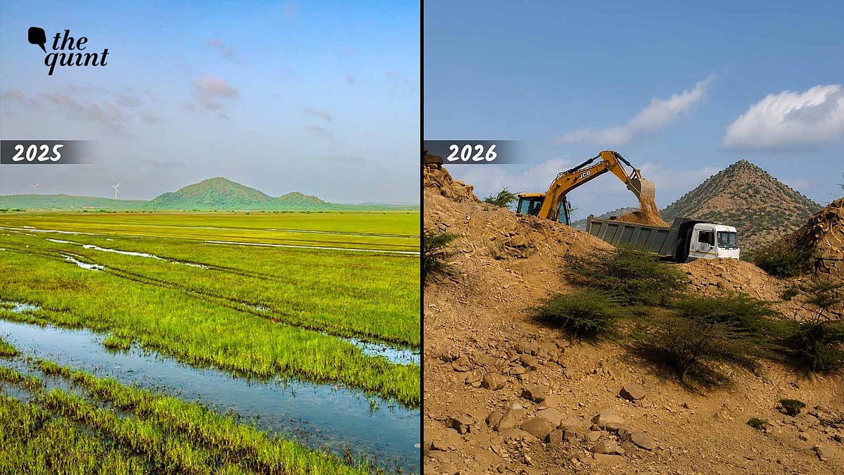 <div class="paragraphs"><p>Parts of the wider landscape of Kutch are being altered for a 4,500-acre, 900 MW solar project proposed by NTPC Renewable Energy Limited. Around 1,400 acres of the project site fall within the eco-sensitive zone adjacent to Chhari Dhandh, an area roughly equivalent to 440 cricket grounds.</p></div>