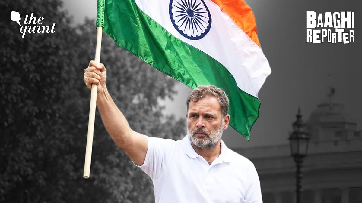 <div class="paragraphs"><p>Rahul Gandhi led the INDIA bloc protest against Gyanesh Kumar. </p></div>