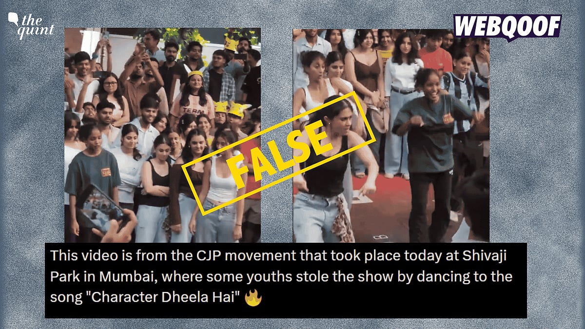 <div class="paragraphs"><p>A video is going viral on social media, falsely claiming to show youth dancing to a Bollywood song at the Cockroach Janta Party movement in Shivaji Park, Mumbai.</p></div>