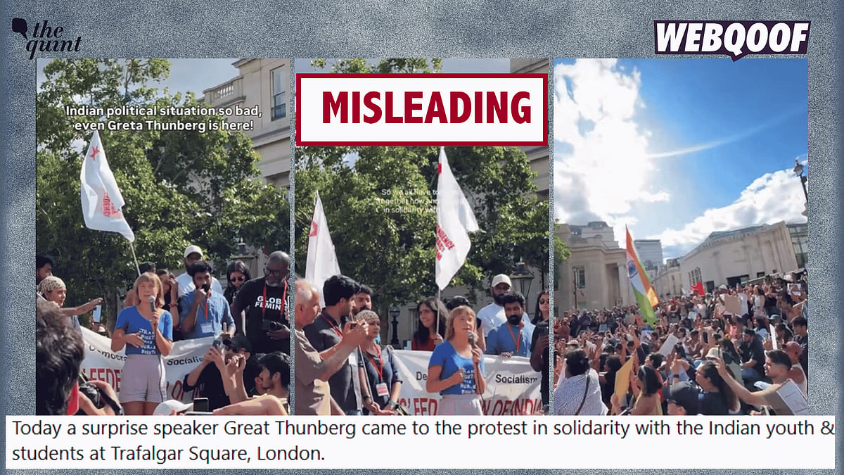 <div class="paragraphs"><p>An old video is going viral on social media, falsely claiming to show climate activist Greta Thunberg attending a recent protest in London's Trafalgar Square to show solidarity with the Indian youth.</p></div>
