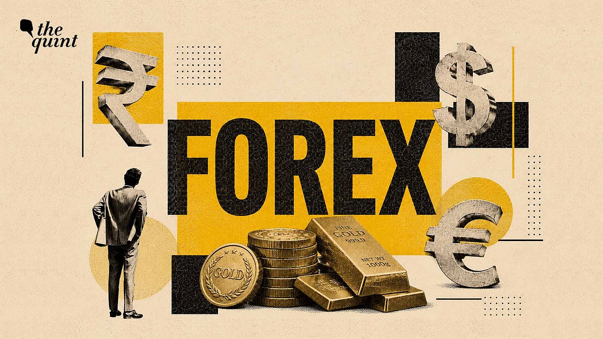 RBI's 'Debt Wish' Will Make India's Forex Reserves More Precarious Going Forward