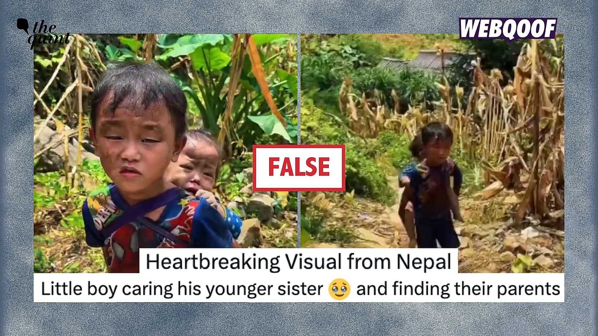 नेपाल बाढ़: क्या वायरल वीडियो में दिख रहे बच्चे वाकई भाई-बहन हैं? सच्चाई जानकर चौंक जाएंगे!