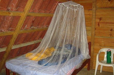 Kerala amateur designs portable mosquito net that can be used as a bed sheet