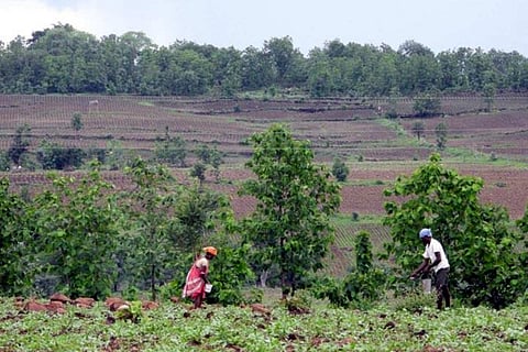 Maoists trying to gain foothold in Telangana by exploiting Adivasi issues, allege police