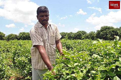 Price of a dream city: Andhra farmers are caught in the uncertain promise of Amaravati