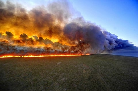 International pressure mounts on Brazil to address fires in Amazon rainforest